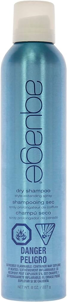 Aquage Dry Shampoo Style Extending Spray 8oz