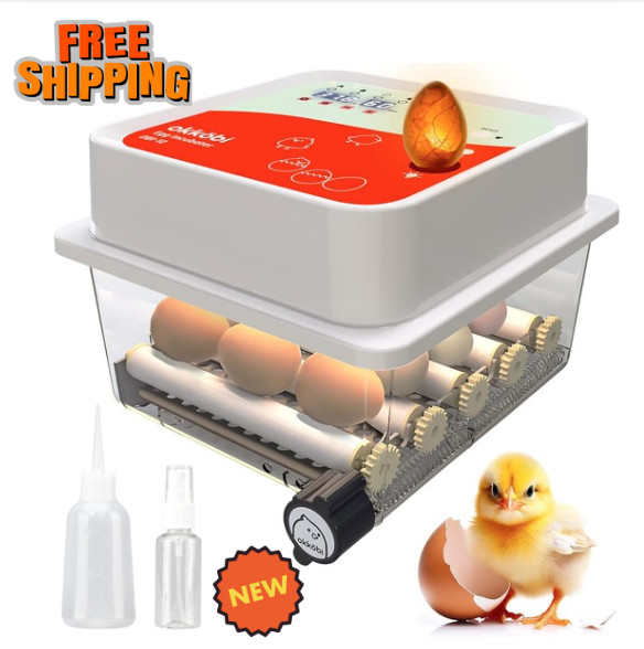OBI-12 Incubator for Hatching Eggs – 36 Eggs, Easy to Use, Stable Temperature