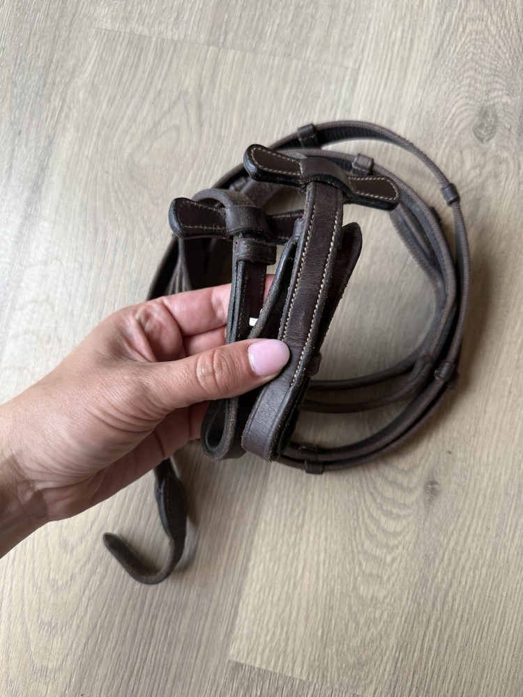 Brown Webbed Reins