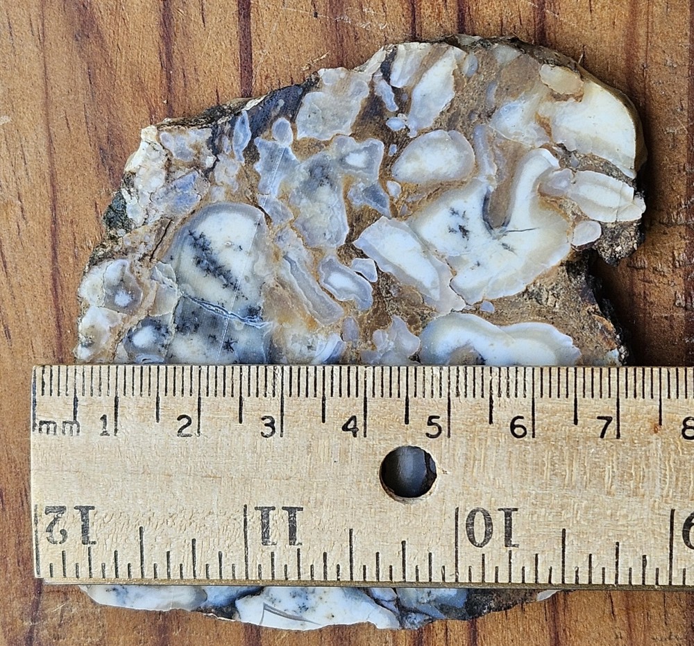 Common Opal With Dendrites Lapidary Slab 64 Grams