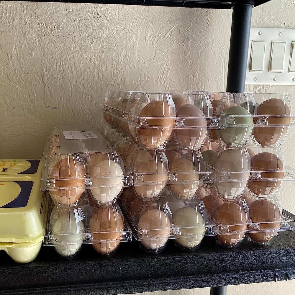 50 Pack Plastic Egg Cartons Bulk, 12 Egg Reusable Egg Cartons, Empty 1 Dozen ...