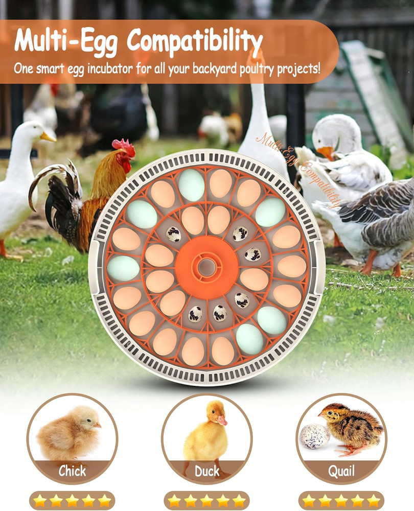 30 Egg Incubators for Hatching Eggs with Automatic Egg Turner, Auto Temperature