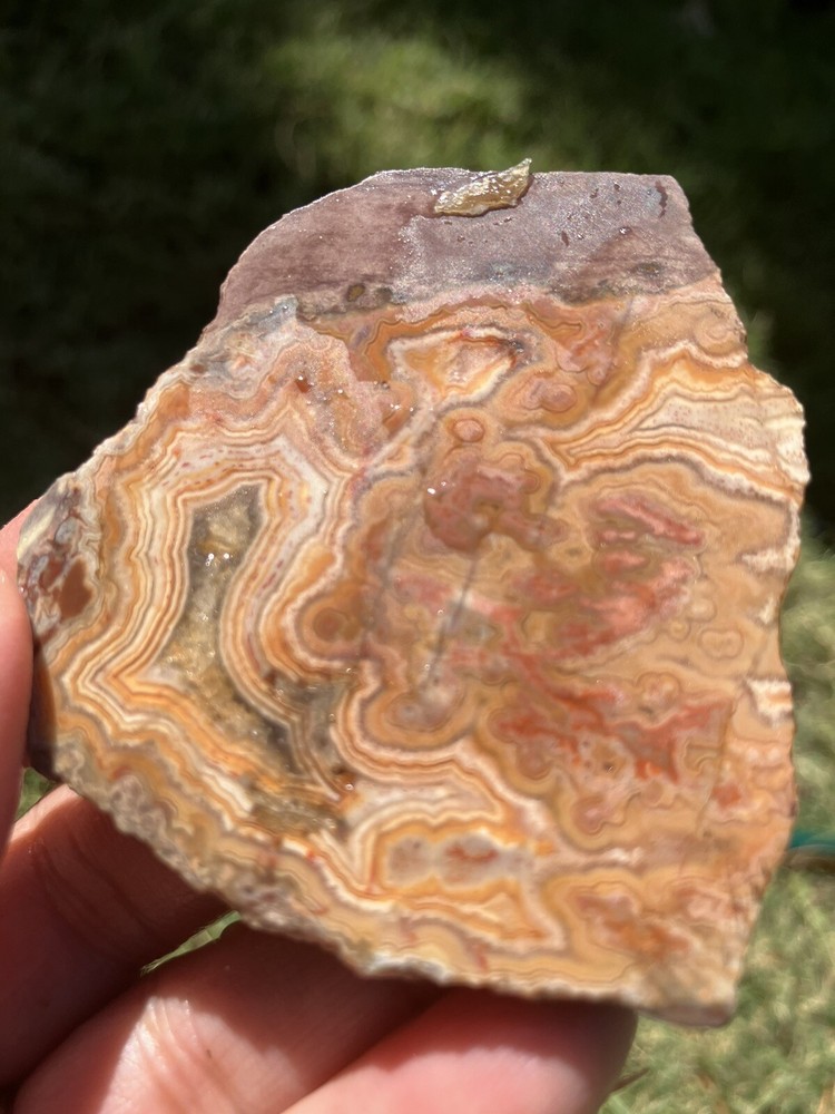 Dryhead Agate Slab (Montana)