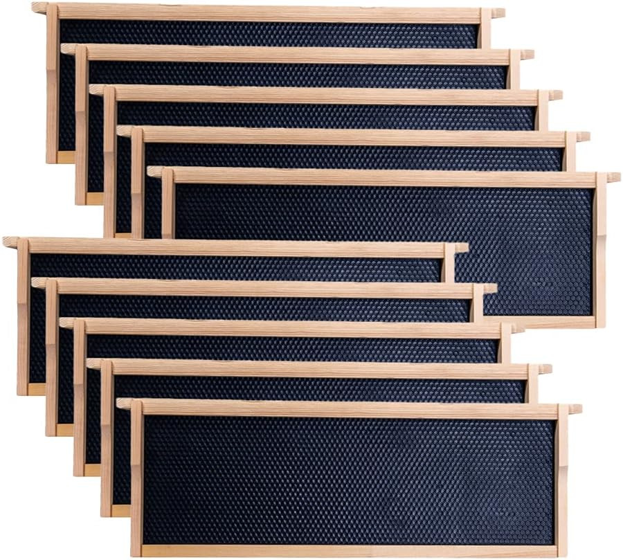 Medium Super Beehive Frames with Wax Foundations,10 Pack Honey Bee Frames with 1