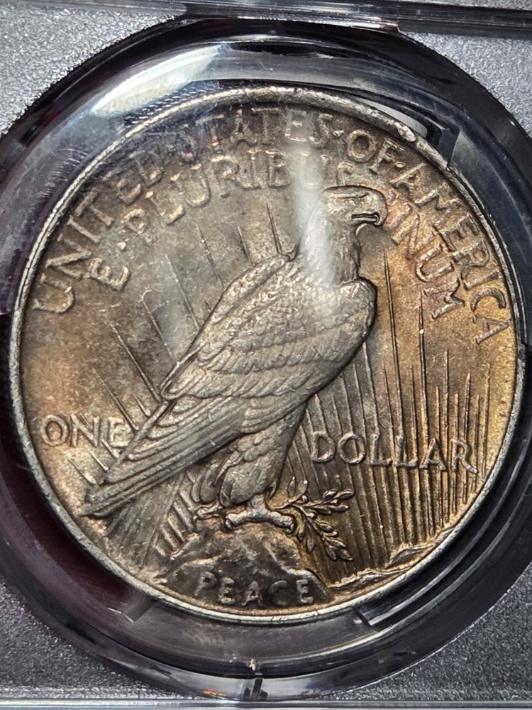 1923 $1 Peace Dollar PCGS MS62 Toned