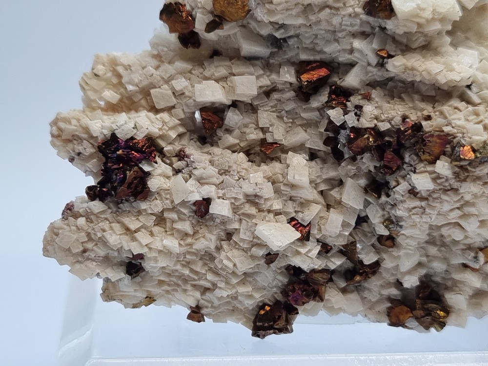 Minerals◇Calcipyrite with Siderite origin Breislar Germany