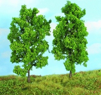 HEKI,2 Beech trees 18 cm, , HEK19103