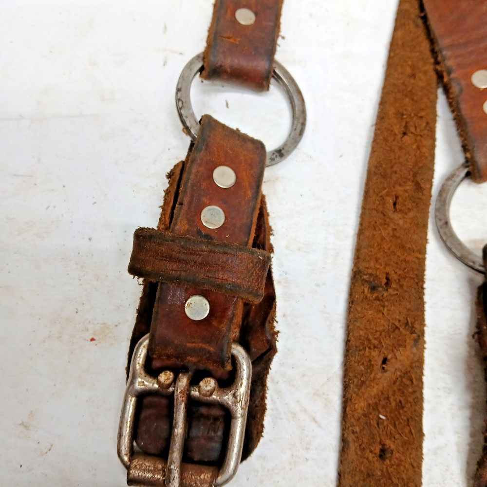 2 EACH, POLE OR TREE, CLIMBER STRAPS, BOTTOM STRAPS (2)