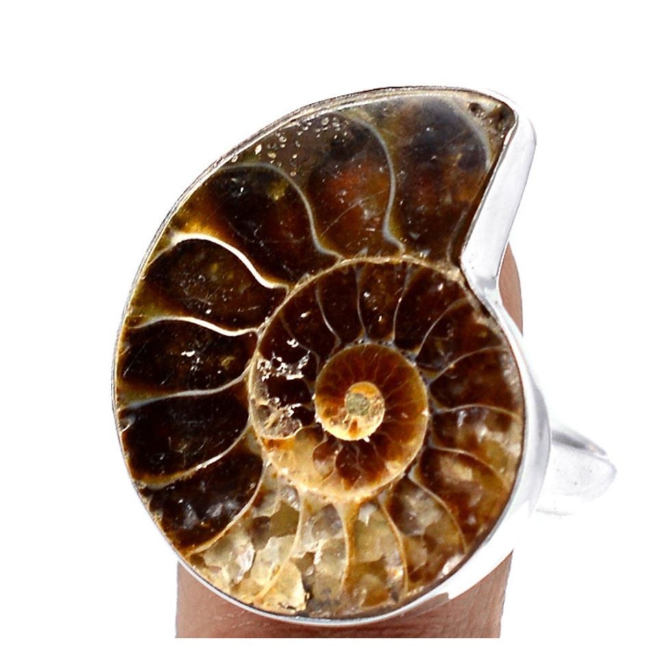 Fossil Ammonite Sterling Silver Ring size 10.5