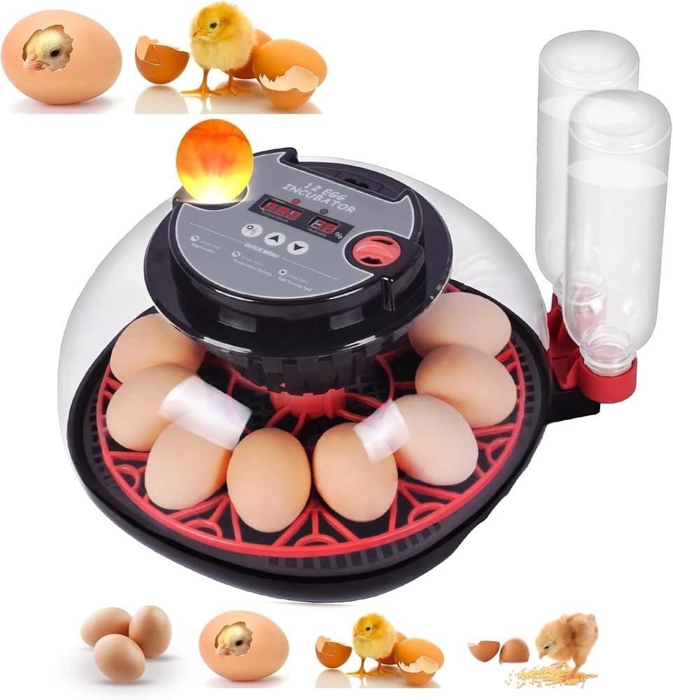Incubators for Hatching Eggs, Egg Incubator with Automatic Egg Turning and Humid
