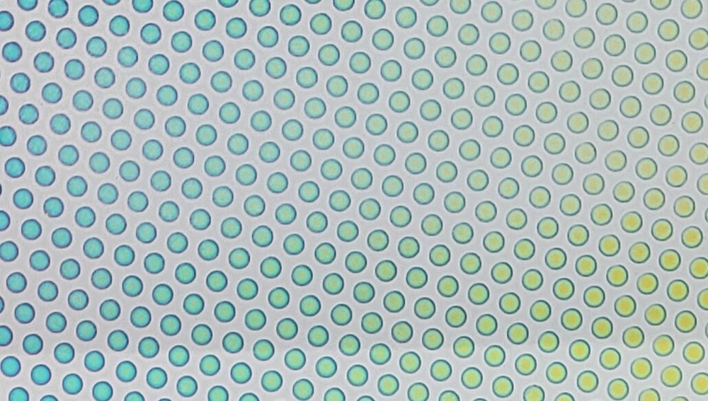 1x2" System 96 Thin Clear  Dot 1 Pattern on Rainbow 2 Dichroic 96 COE Glass