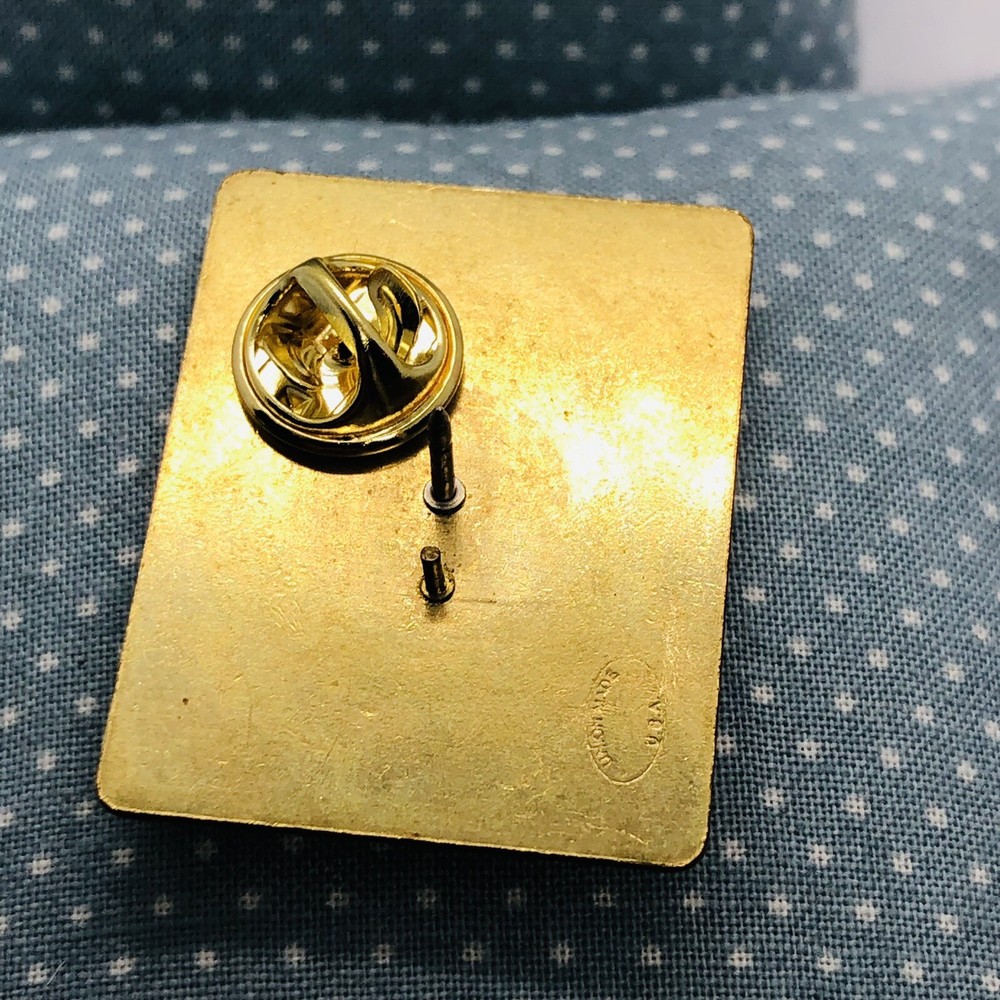 Motor Home On The Range Volunteer Pin Pin-back