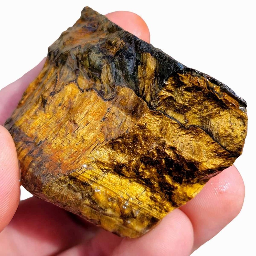 Random Pull Golden Tiger's Eye Rough! Chatoyant Display!