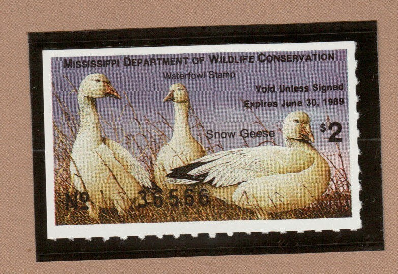 MS13 - Mississippi State Duck Stamp. MNH. OG.