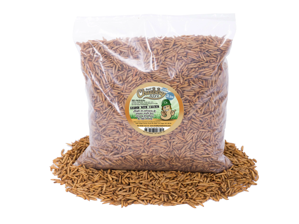 2LB Chubby Dried Black Soldier Fly Larvae