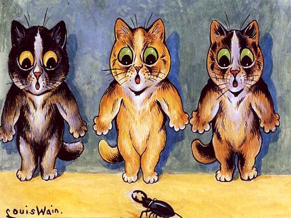 Kittens and beetle cat Accent Tile Mural Kitchen Bathroom Backsplash Ceramic 8x6