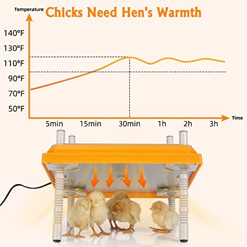 Brooder Heater for Chicks: Chick Brooder Heating Plate with Easy- Orange-10x10
