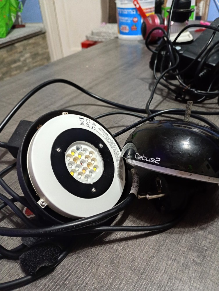 cetus 2 lamp