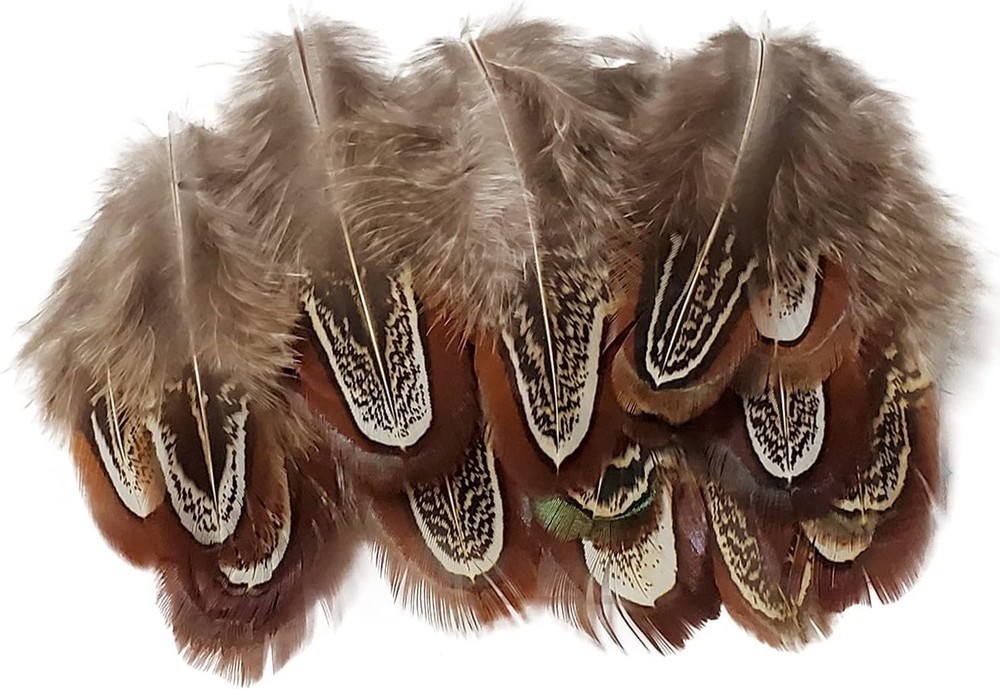 Eco-Friendly 50 Pcs Natural Pheasant Feathers - Ideal for Decorative Projects