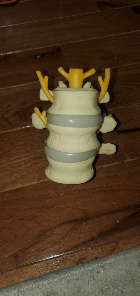 BROKEN -- Cerebrex Medical - Spinal Column & Cord Model 1994