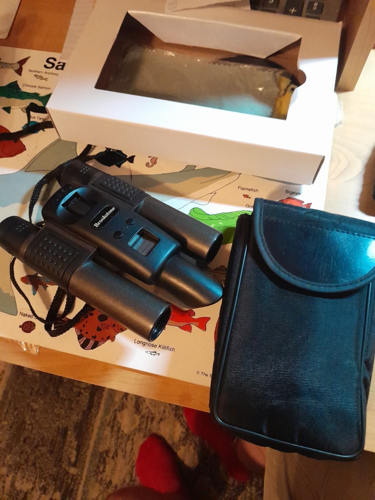 Allring Binocam DCB-132 10X25 Binocular & Digital Camera