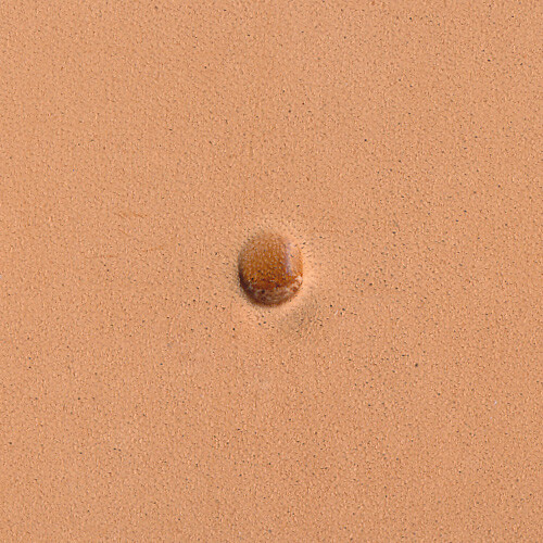 Beveler Undercut Medium B60 Leather Stamp