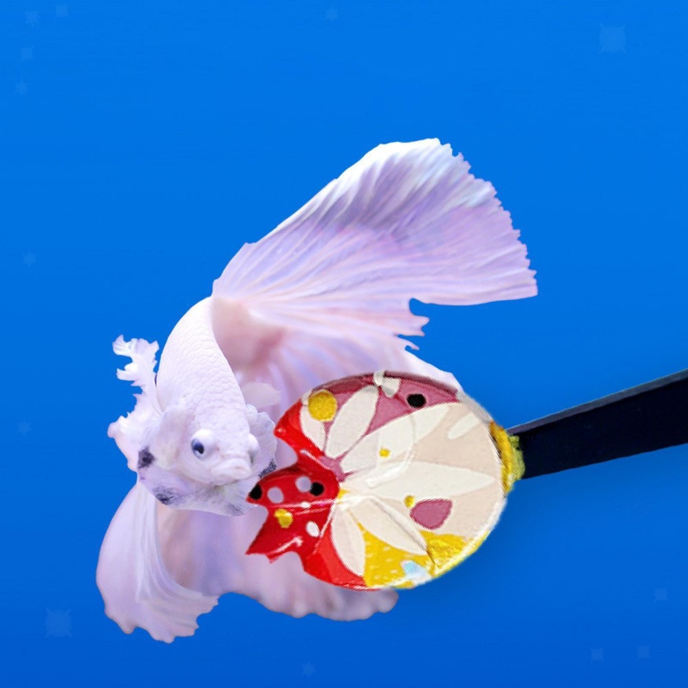 Vibrant Betta Fish Training Set