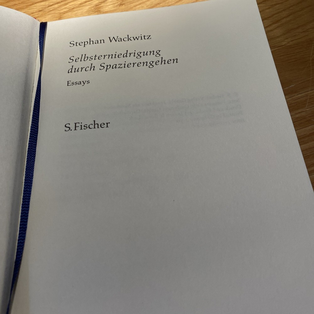 Stephan Wackwitz Selbsterniedrigung Durch Spazierengehen