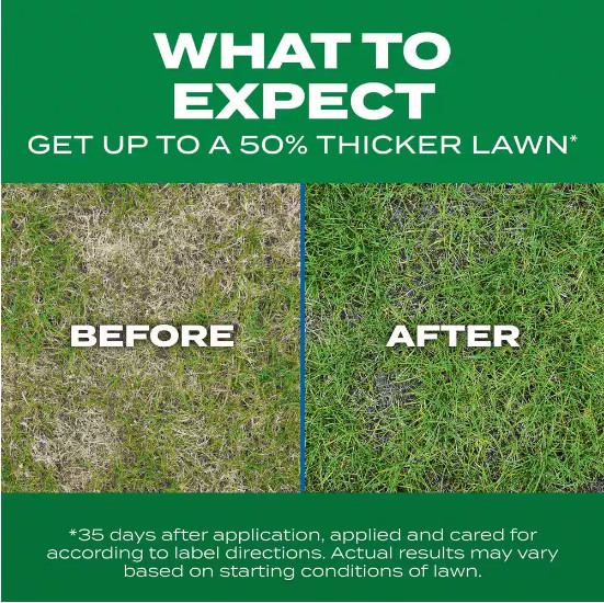 Scotts Turf Builder Thick'R Lawn Sun & Shade 12 lb.