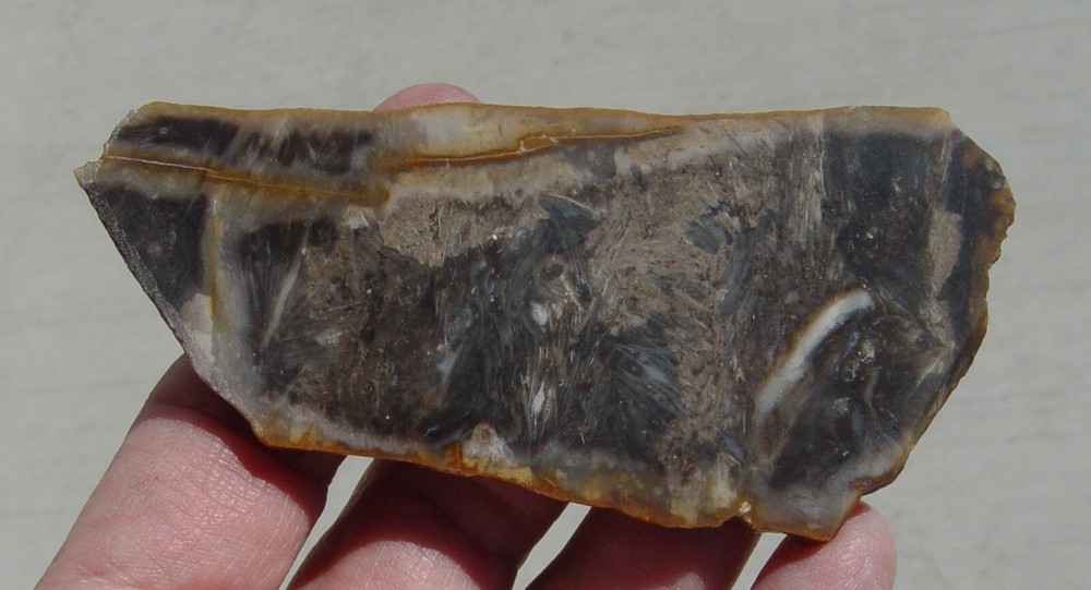 Feather Agate Lapidary Slab Indonesia T1237