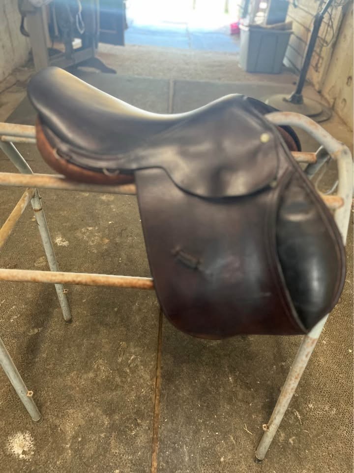 16" Beval Limited CC Saddle