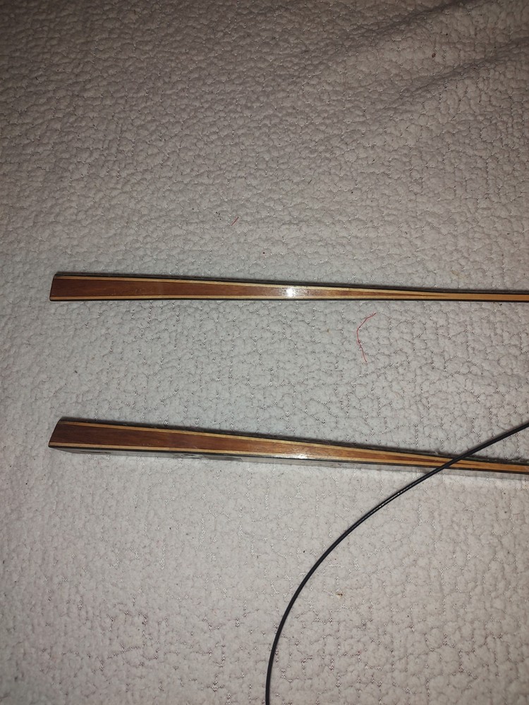 Vintage Darton WH600 Compound Bow Limbs And Cams