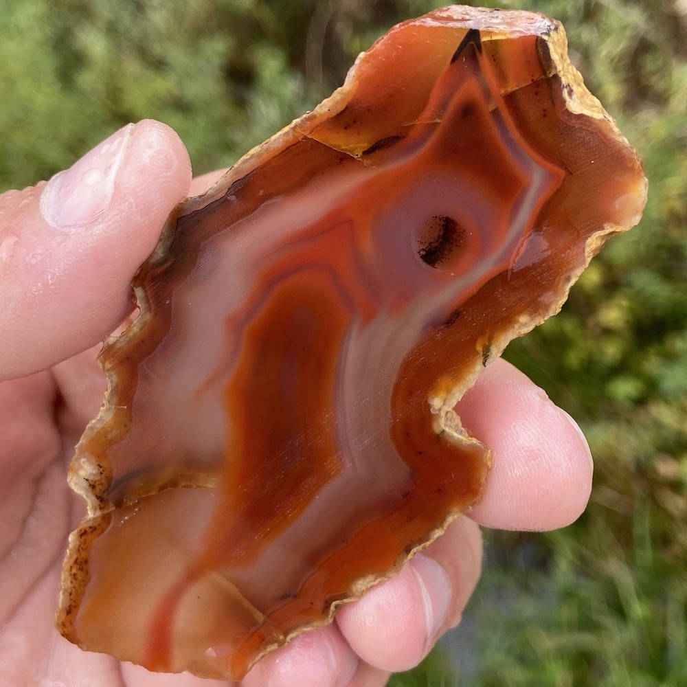 Red Laguna Agate Slab 1.48 Oz