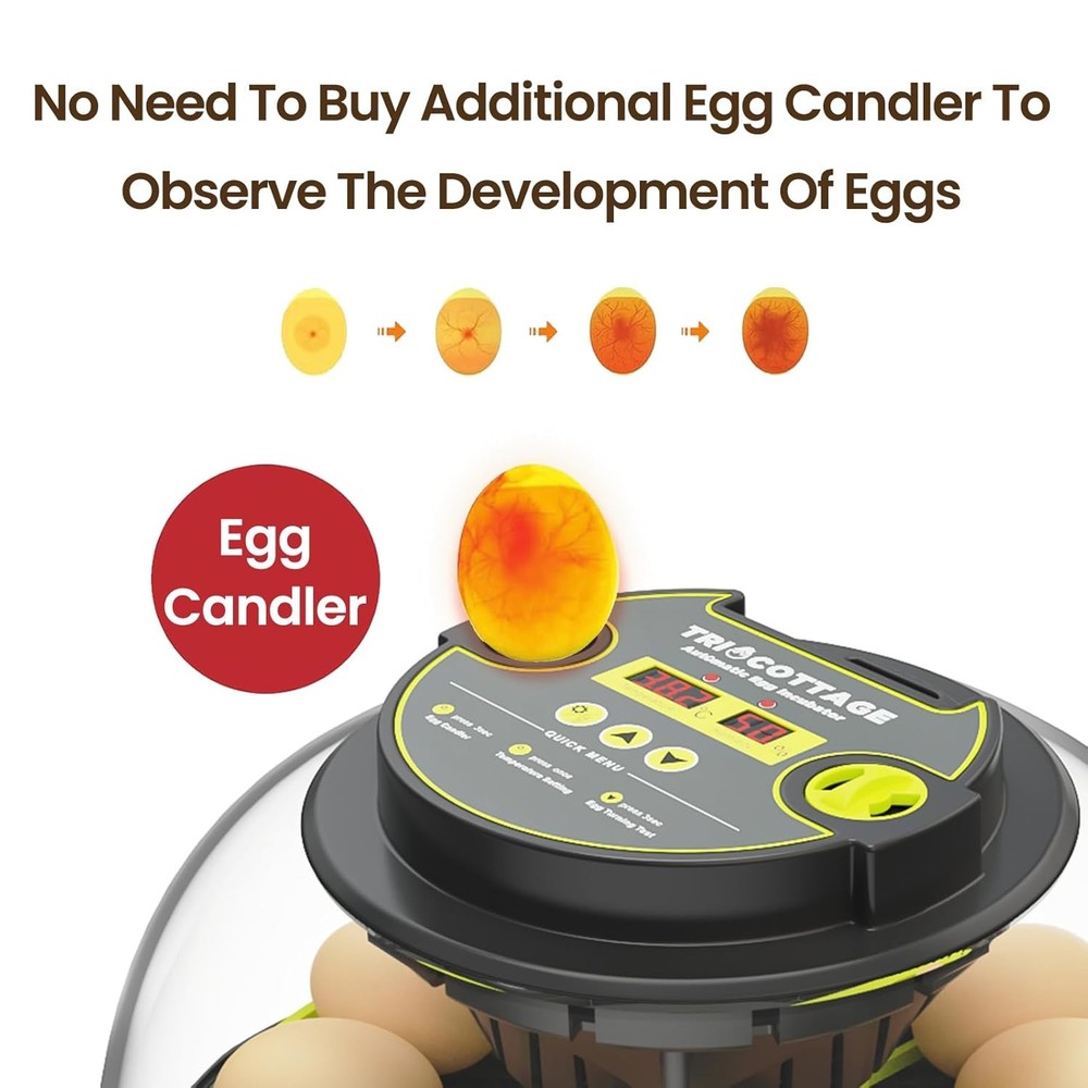 Incubators for Hatching Eggs 12 Egg Incubator with Automatic Egg Turning and Hum