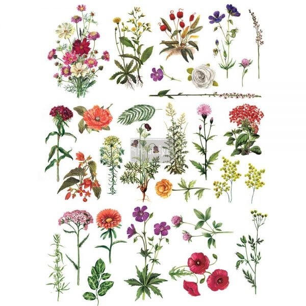 REDESIGN DÉCOR TRANSFERS – FLORAL COLLECTION