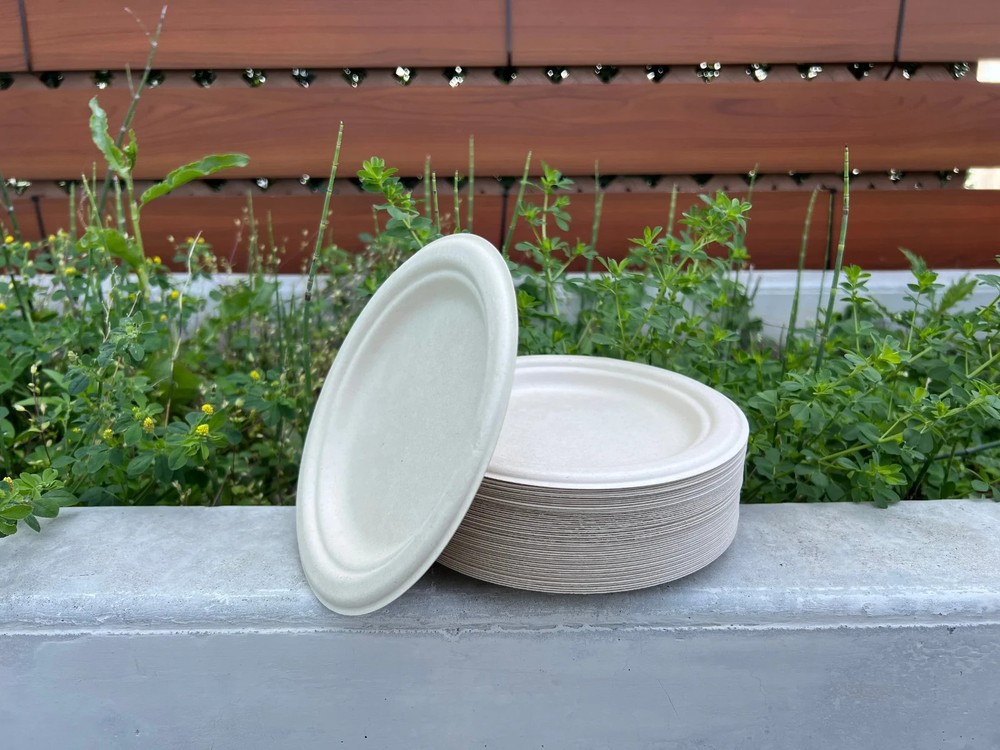 100% Compostable Tableware Set for 50 Guests (350 pcs)