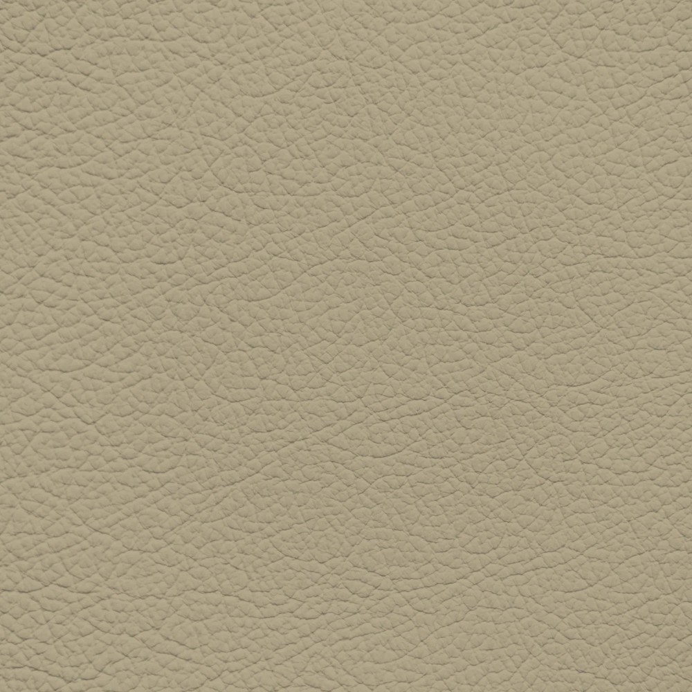 Jaguar Beige Leather Dye