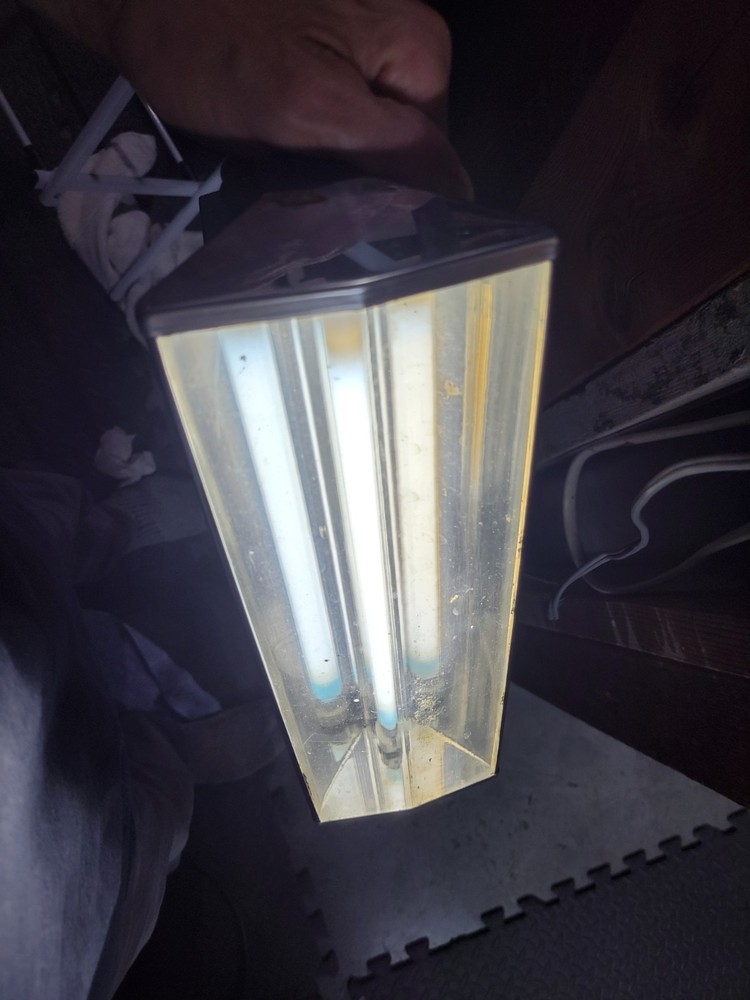 Burgess Safari Light Fluorescent Lantern - light works