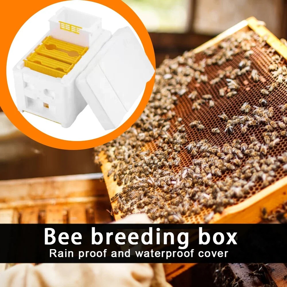 Beehive Beekeeping Box Tools Bee Hive Frame Holder Equipment Beehive Pollination