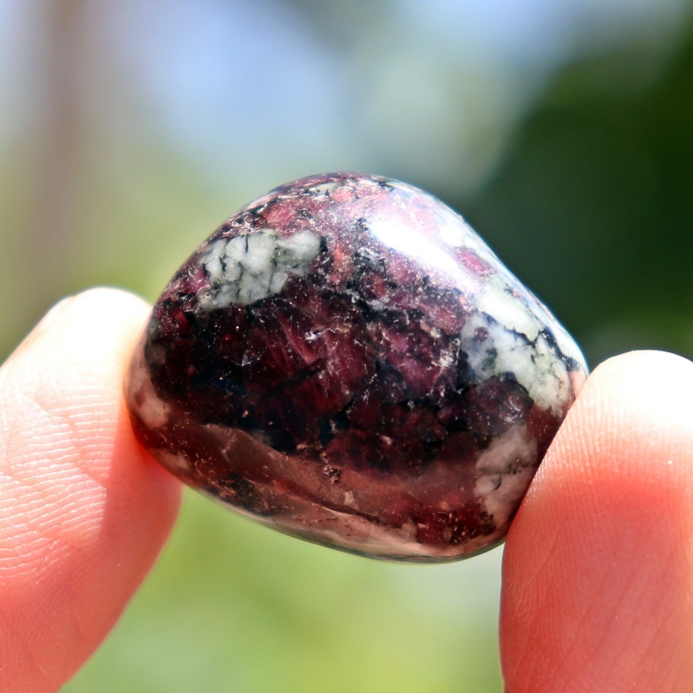 Polished Eudialyte (EUD32)