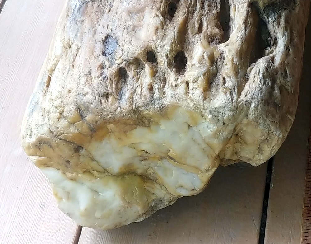 Petrified Wood or Rock