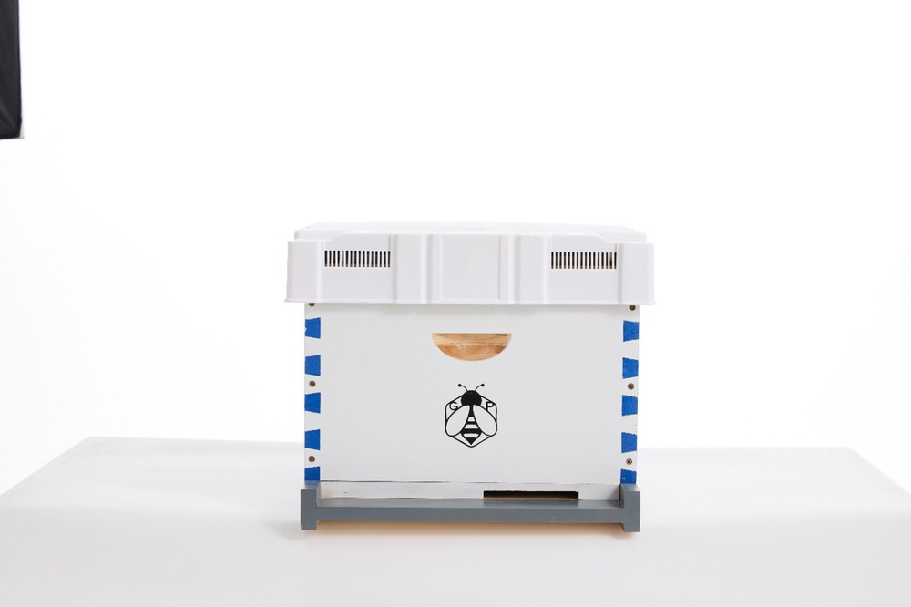 Langstroth Bee Hive Beehive Kit - 20 Frame Box 10 Deep 10 Medium Beekeeping Box
