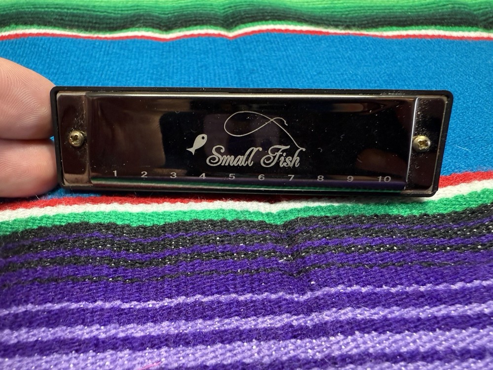 Small Fish Beginners Harmonica Harp 10 Hole Diatonic 10 Hole