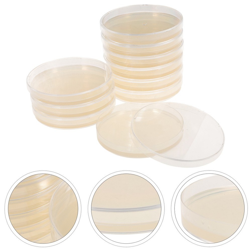 10 Pcs Plastic Petri Dish Experiments Dishes Pre-filled with Agar Science