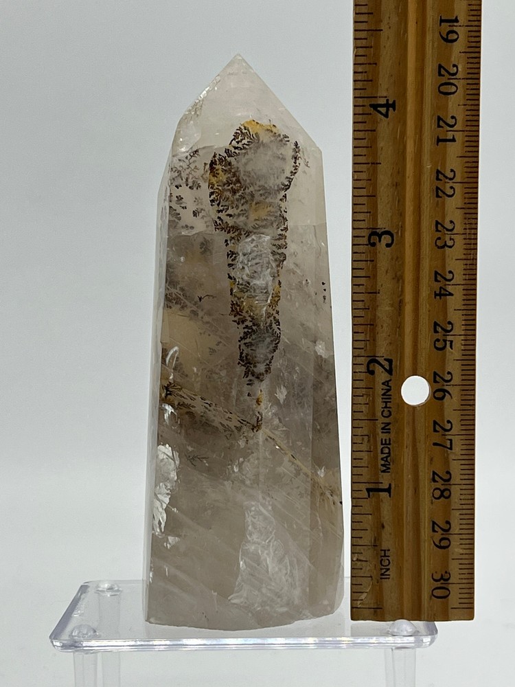 Dendritic Quartz H