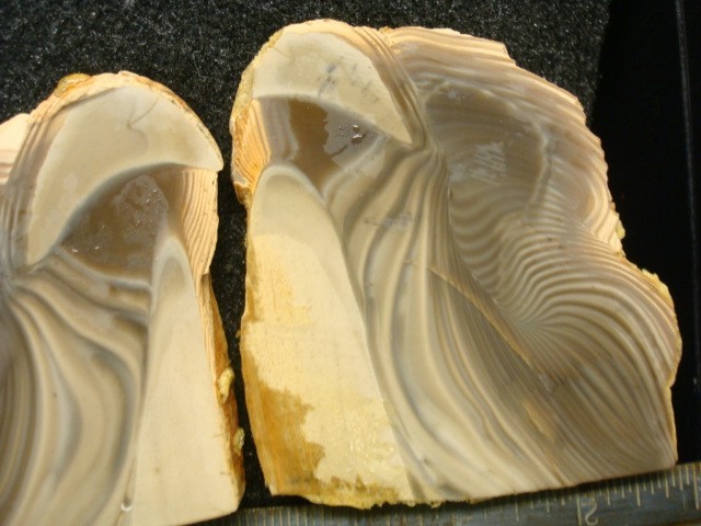 polish flint slabs