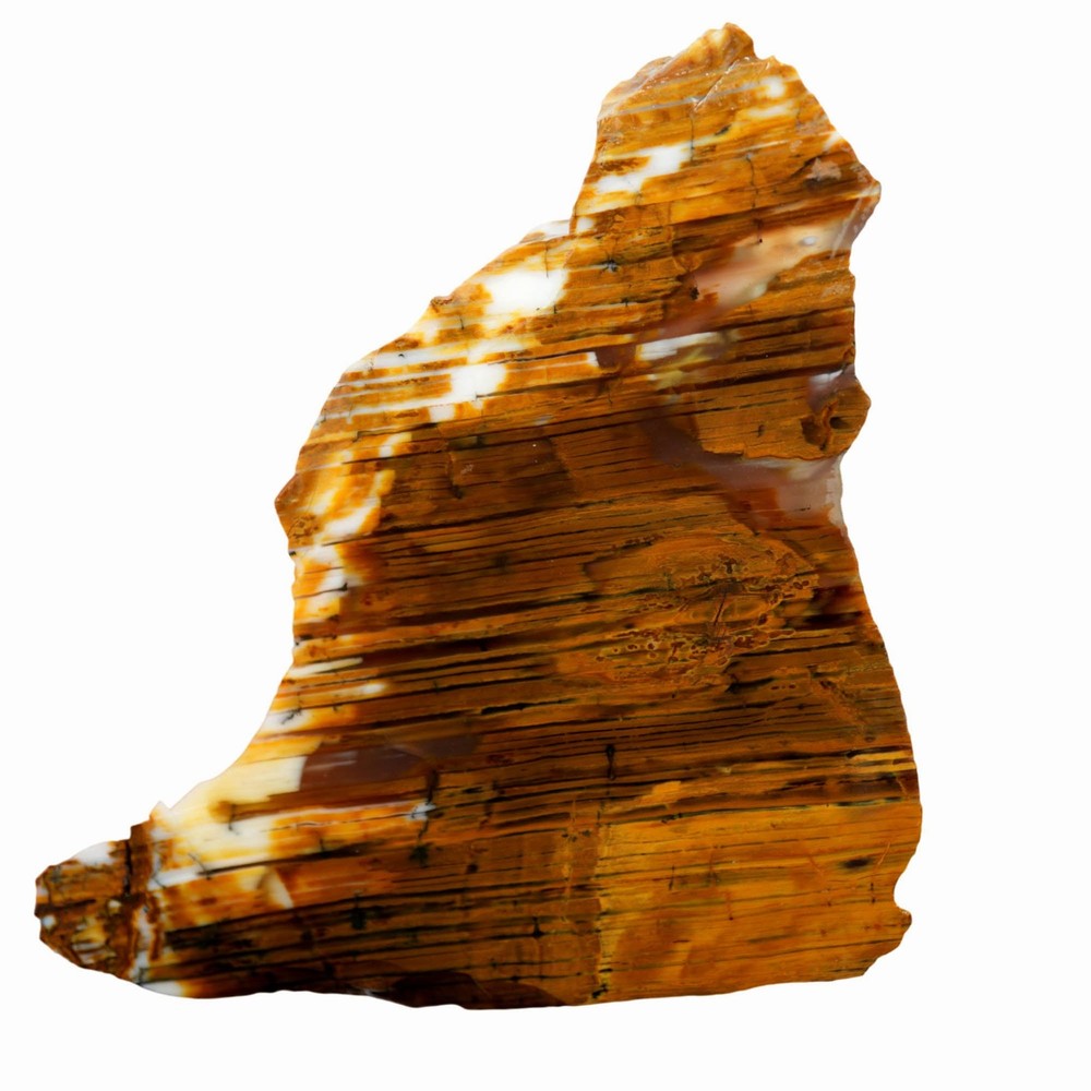 Wascoite Slab - Strata Coffee Pattern