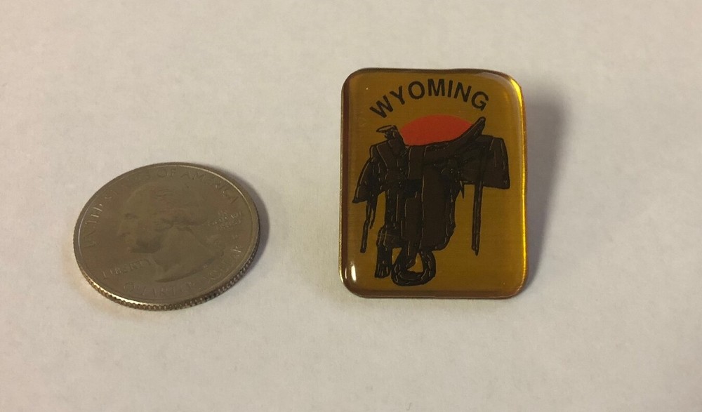 Wyoming Saddle Travel Pin