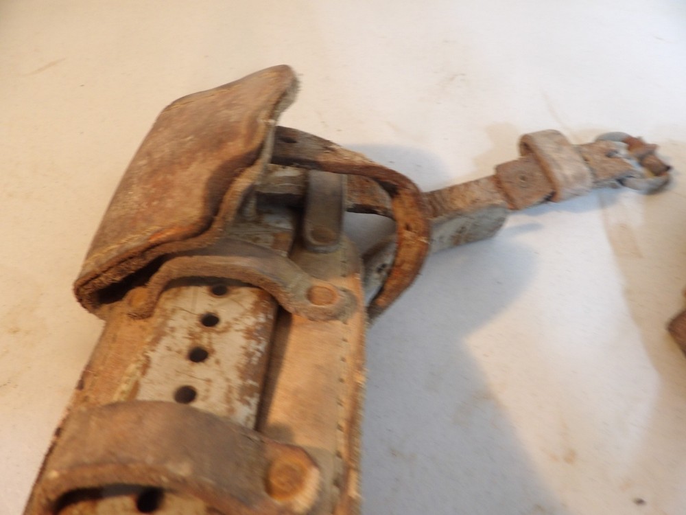 Tree Climbing Spikes ( leather in bad condition )