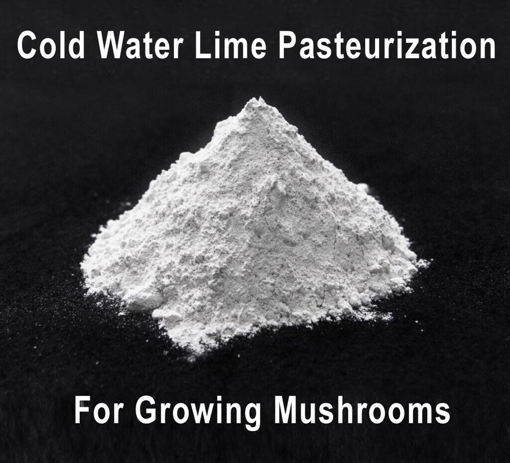Mushroom Cold Water Lime Pasteurization 3oz Hydrated Calcium Hydroxide Tek